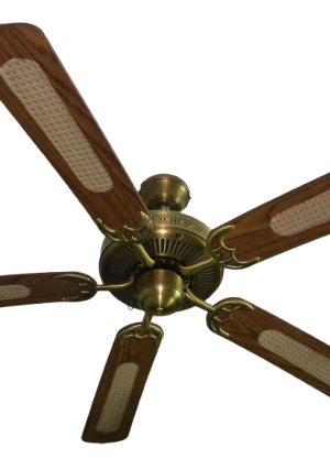 Smart Ceiling Fan