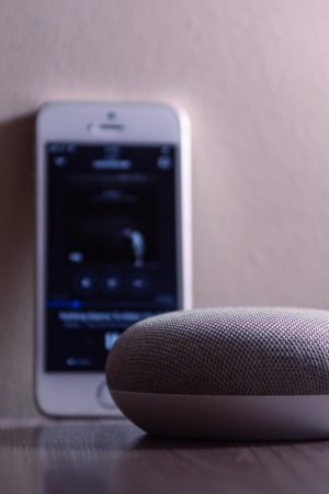 Smart Voice Assistants